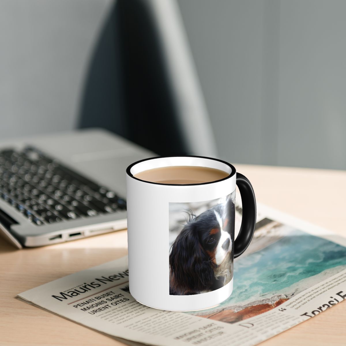 Dreifarbiger Cavalier King Cha – Coffee Tea Photos Bewertung und Preis