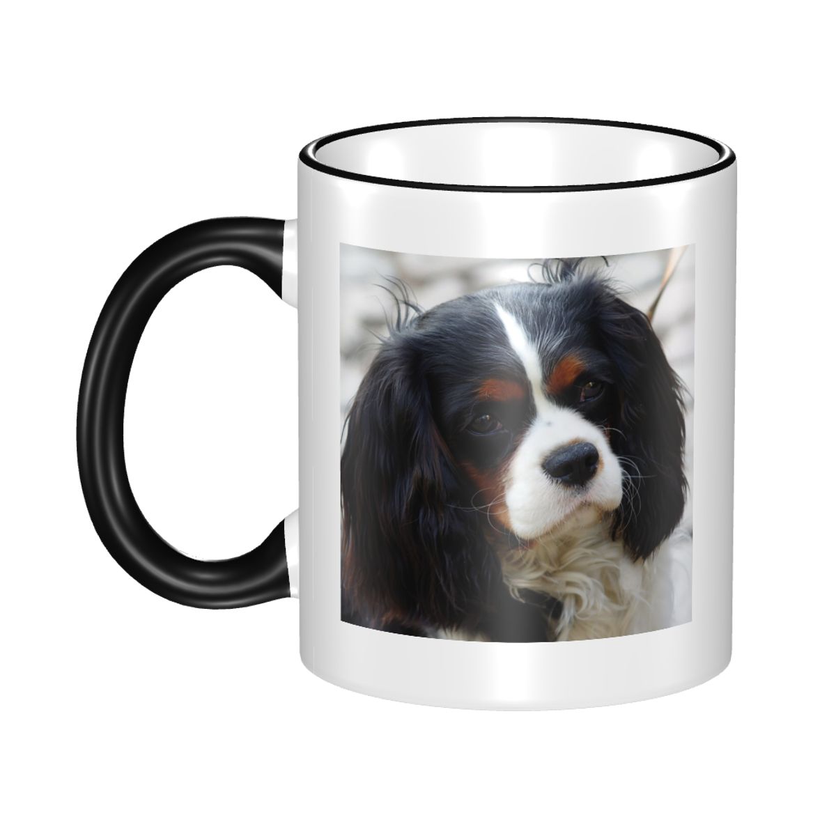 Dreifarbiger Cavalier King Cha – Coffee Tea Photos Bewertung und Preis