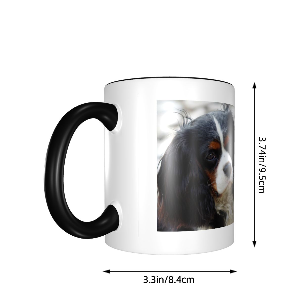 Dreifarbiger Cavalier King Cha – Coffee Tea Photos Bewertung und Preis
