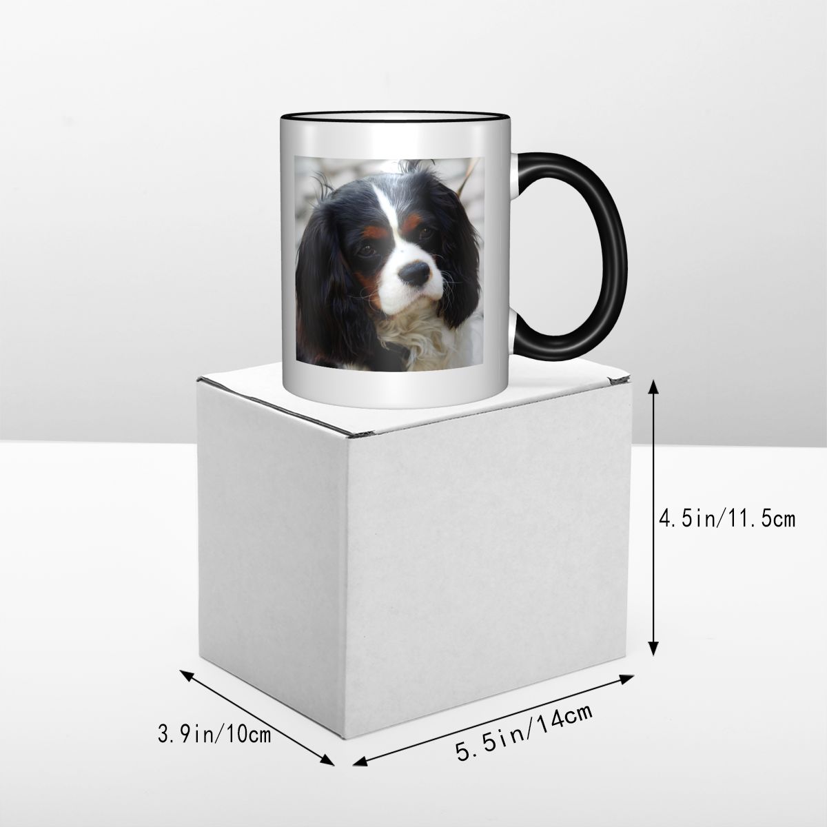 Dreifarbiger Cavalier King Cha – Coffee Tea Photos Bewertung und Preis